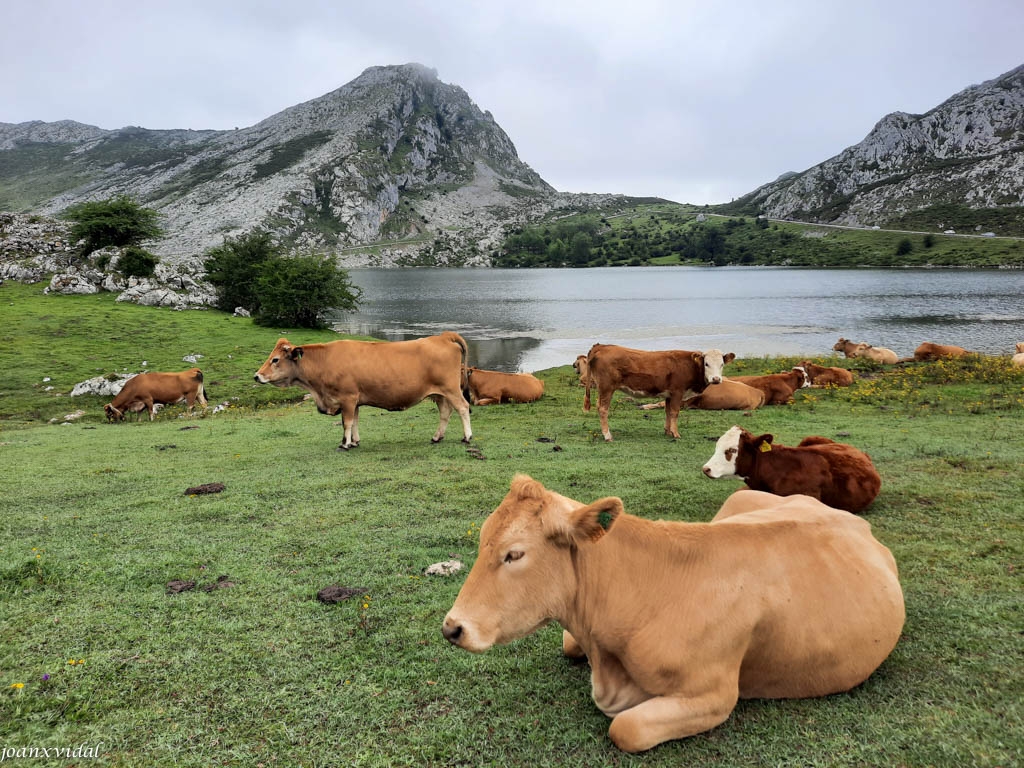 LAGO ERCINA