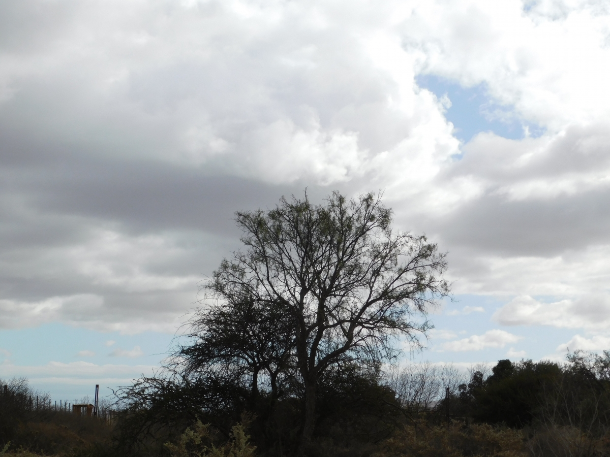 Se acerca la lluvia