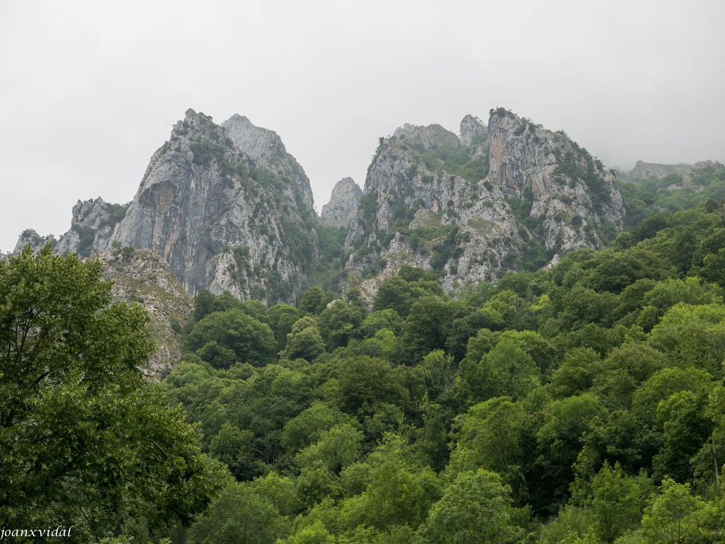 PICOS DE EUROPA