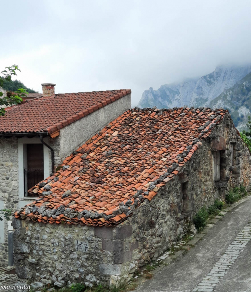 ARQUITECTURA RURAL