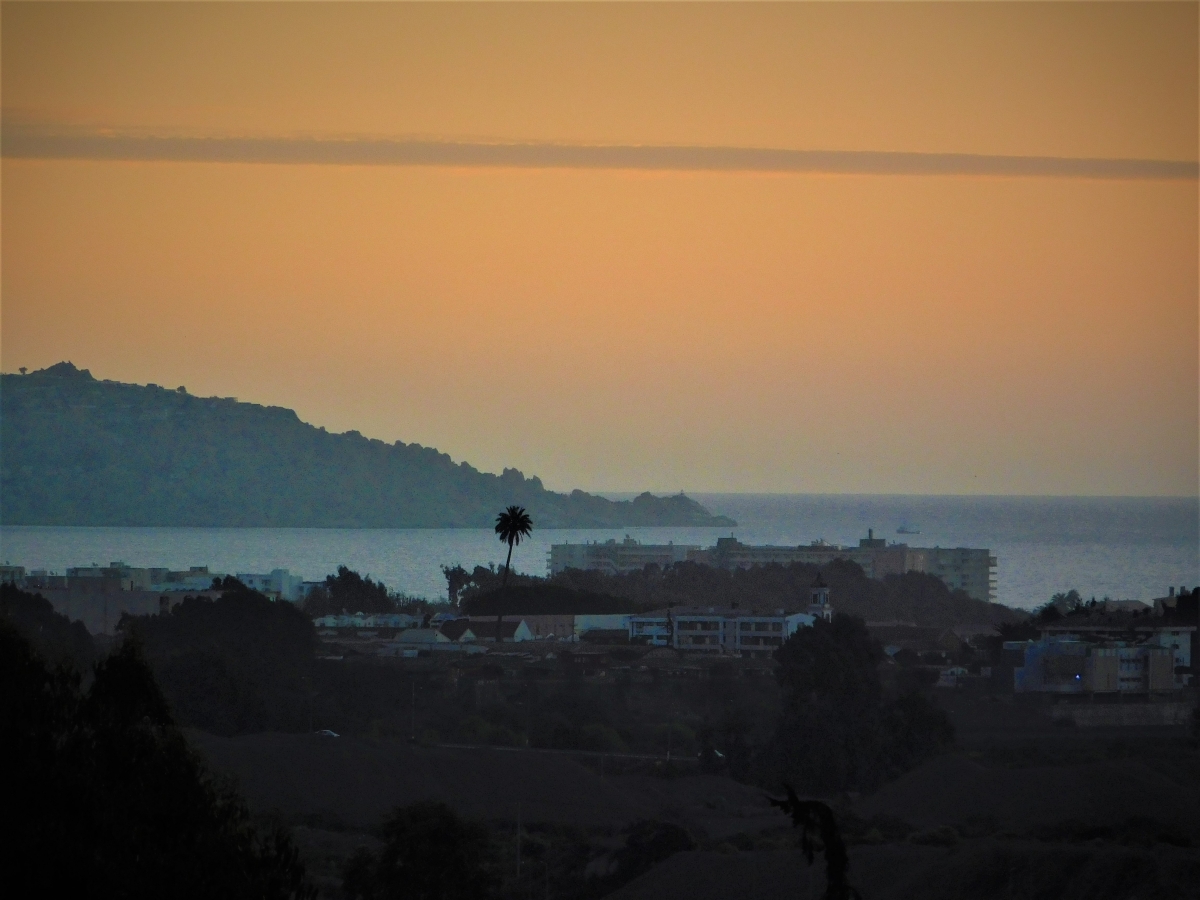 Atardecer en la ciudad 1