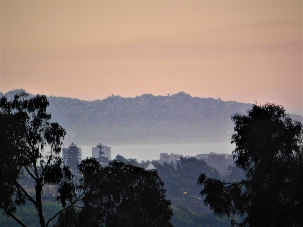 La niebla lo cubre todo