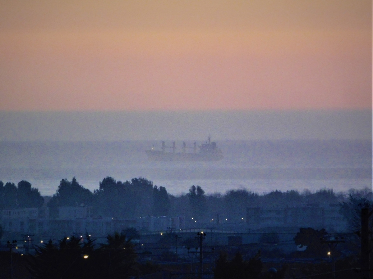 La niebla lo cubre todo 2