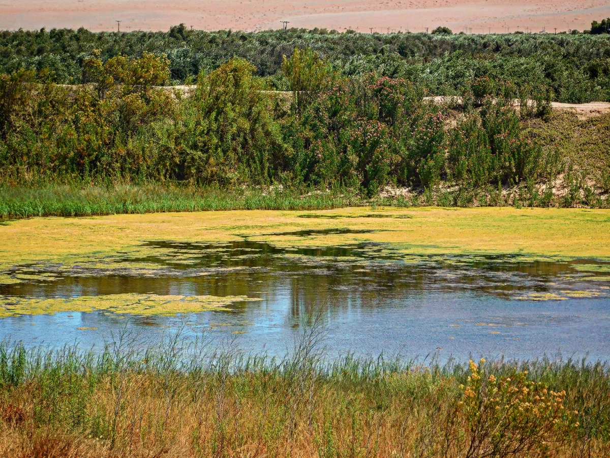 El norte y sus espacios verdes