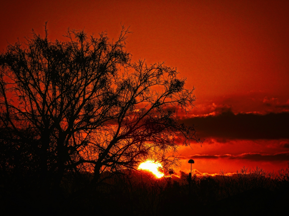 Atardecer en la parcela