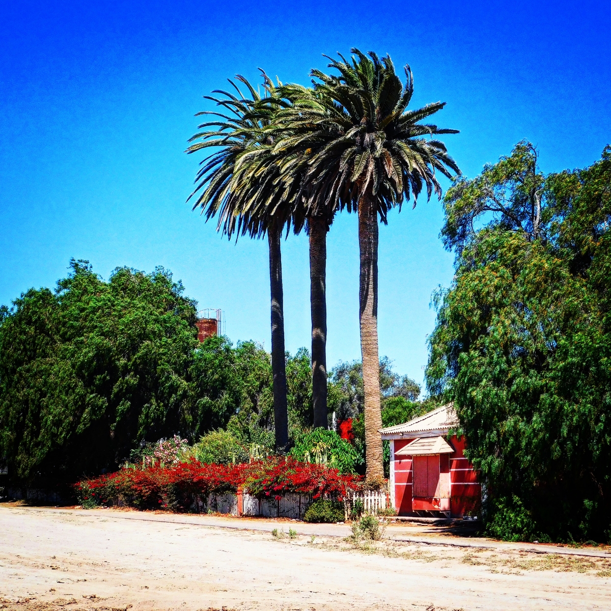 Un oasis al medio del desierto