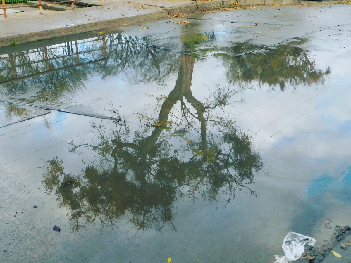 Reflejos en el agua de lluvia