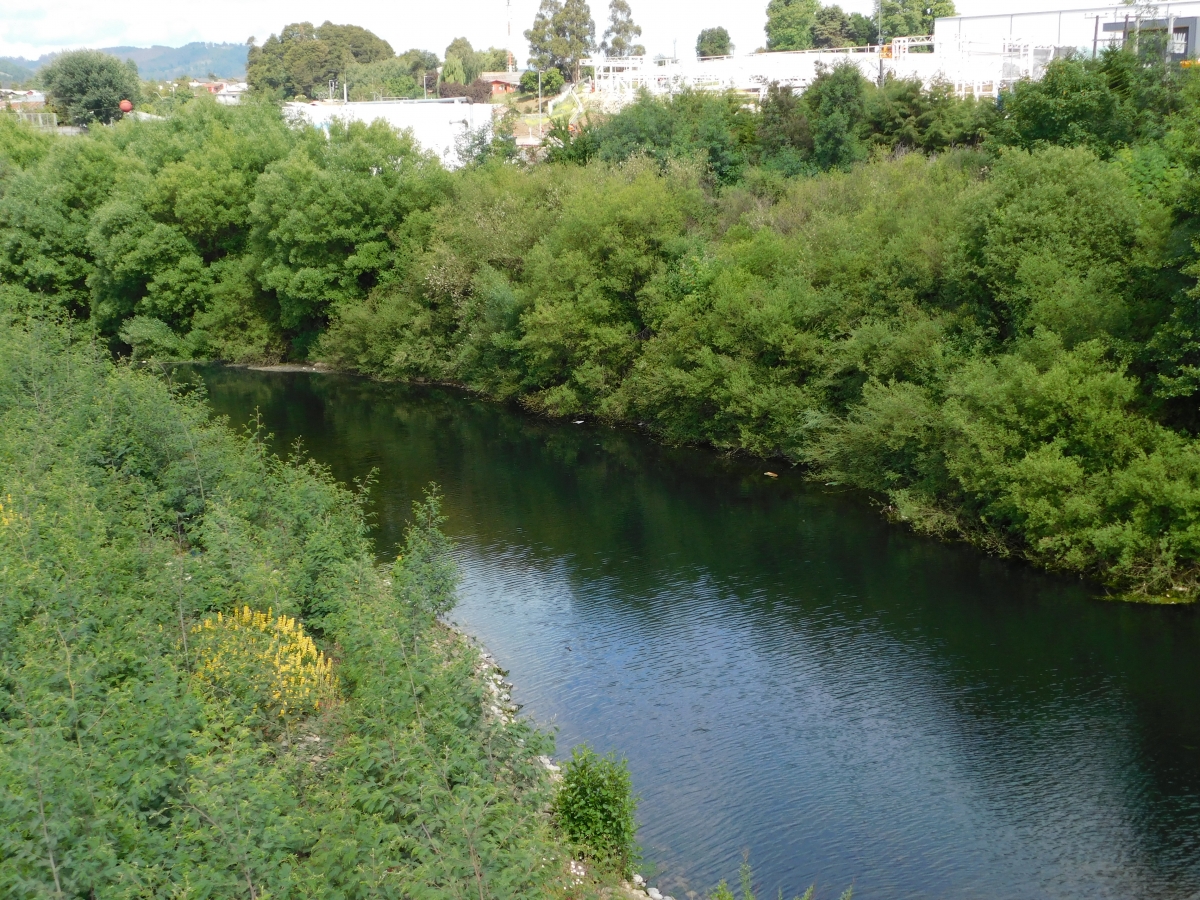 Vistas de la ciudad