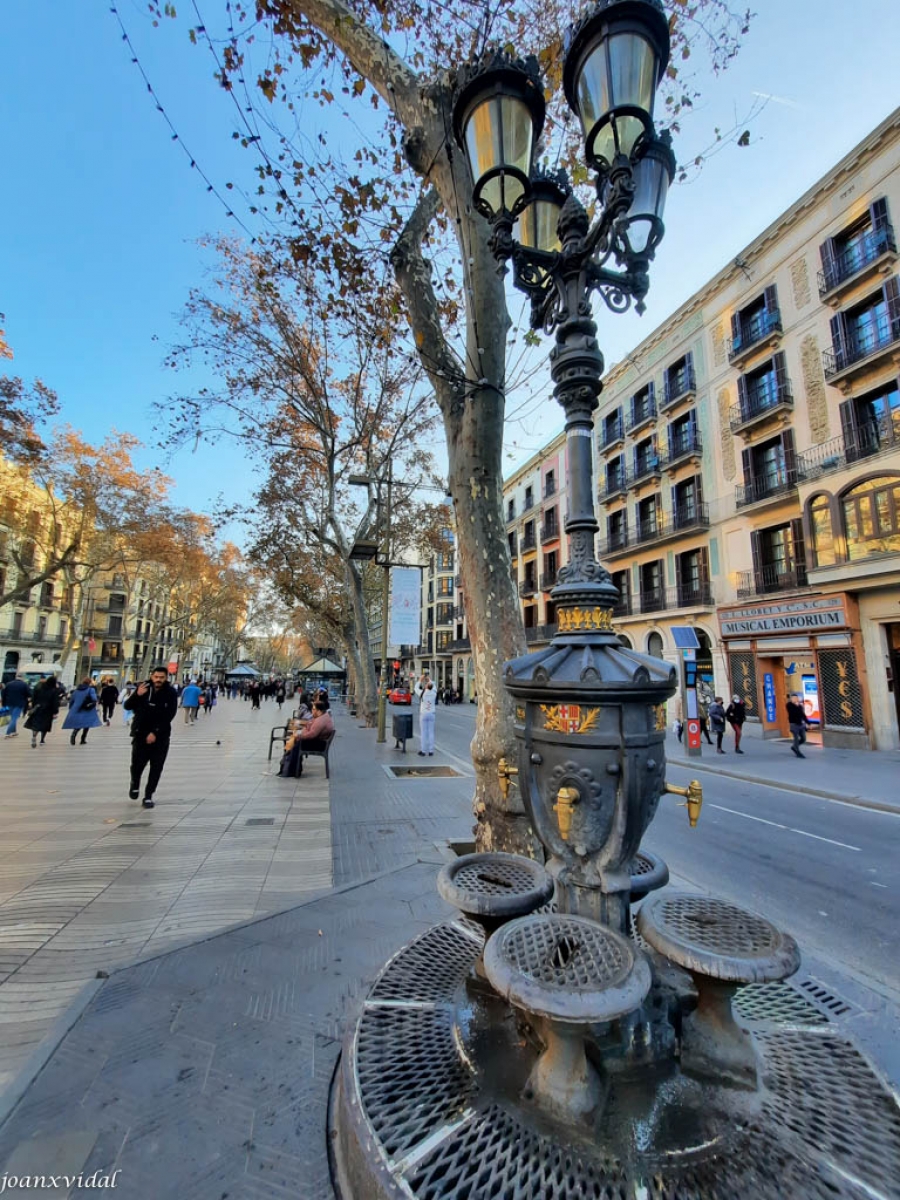 FONT DE CANALETES