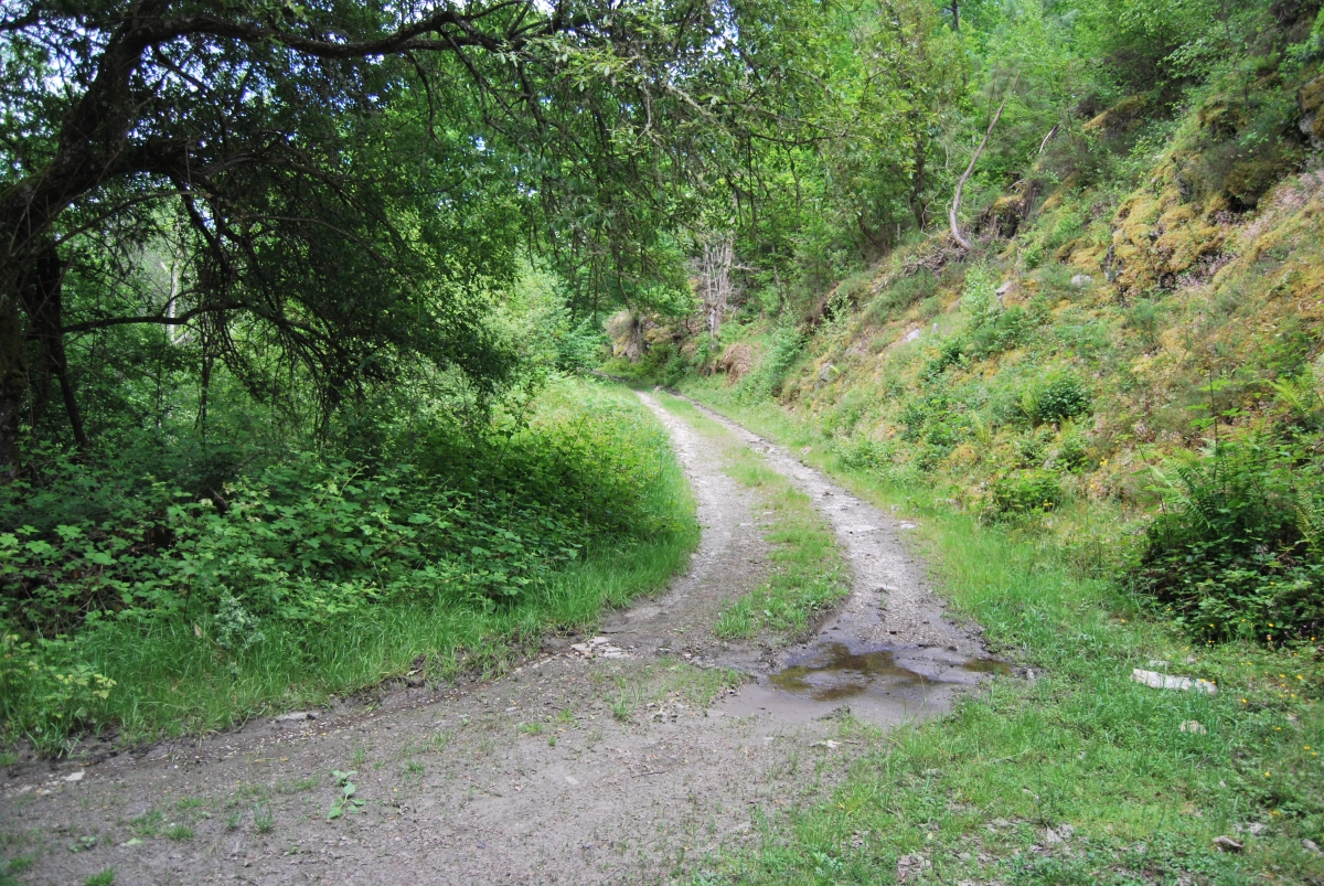 Fraga de Pigeiros. Castro Caldelas. Ourense. Ribeira Sacra. Galicia