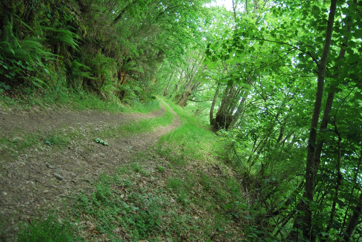 Fraga de Pigeiros. Castro Caldelas. Ourense. Ribeira Sacra. Galicia