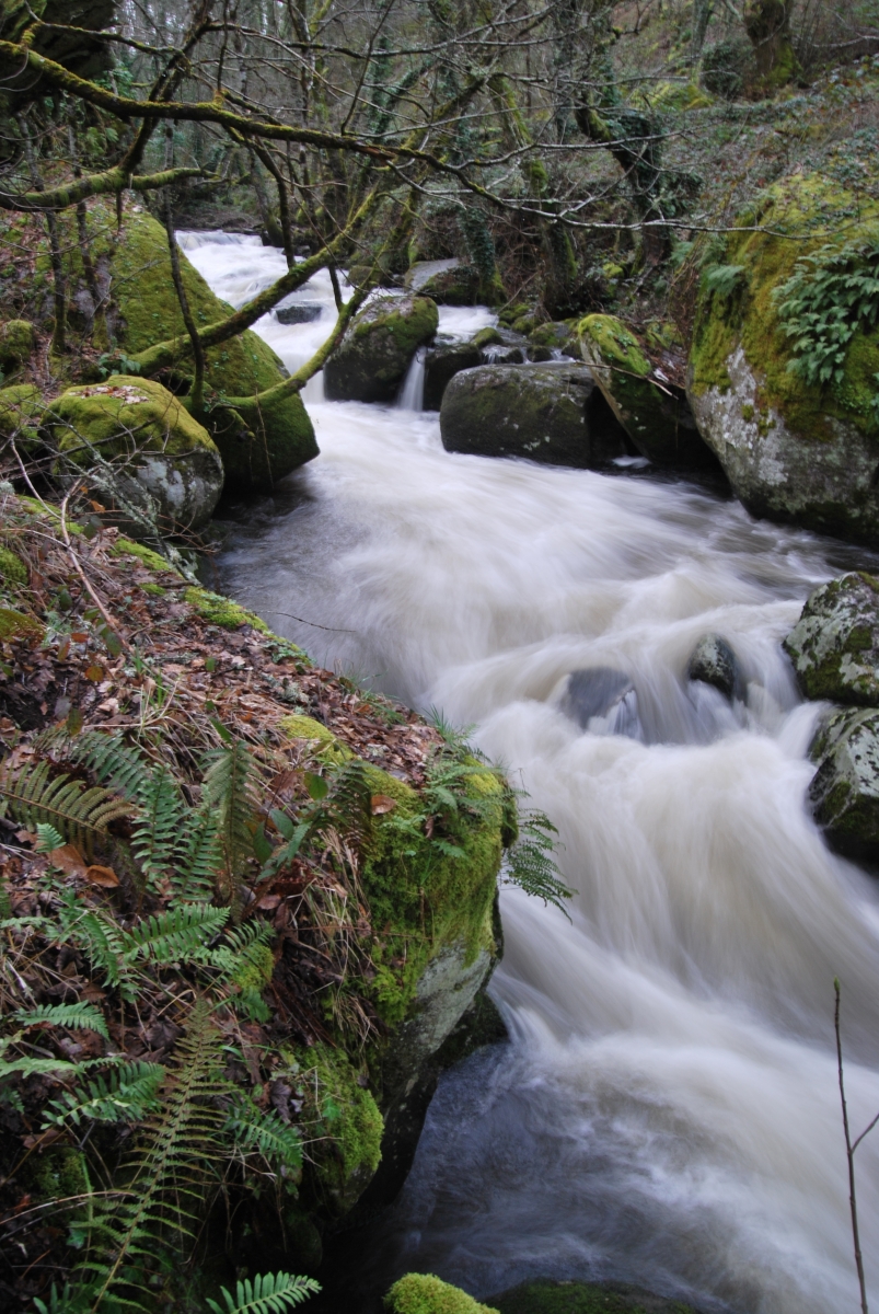 Ro Caldelas/Edo. Castro Caldelas. Ourense. Ribeira Sacra. Galicia