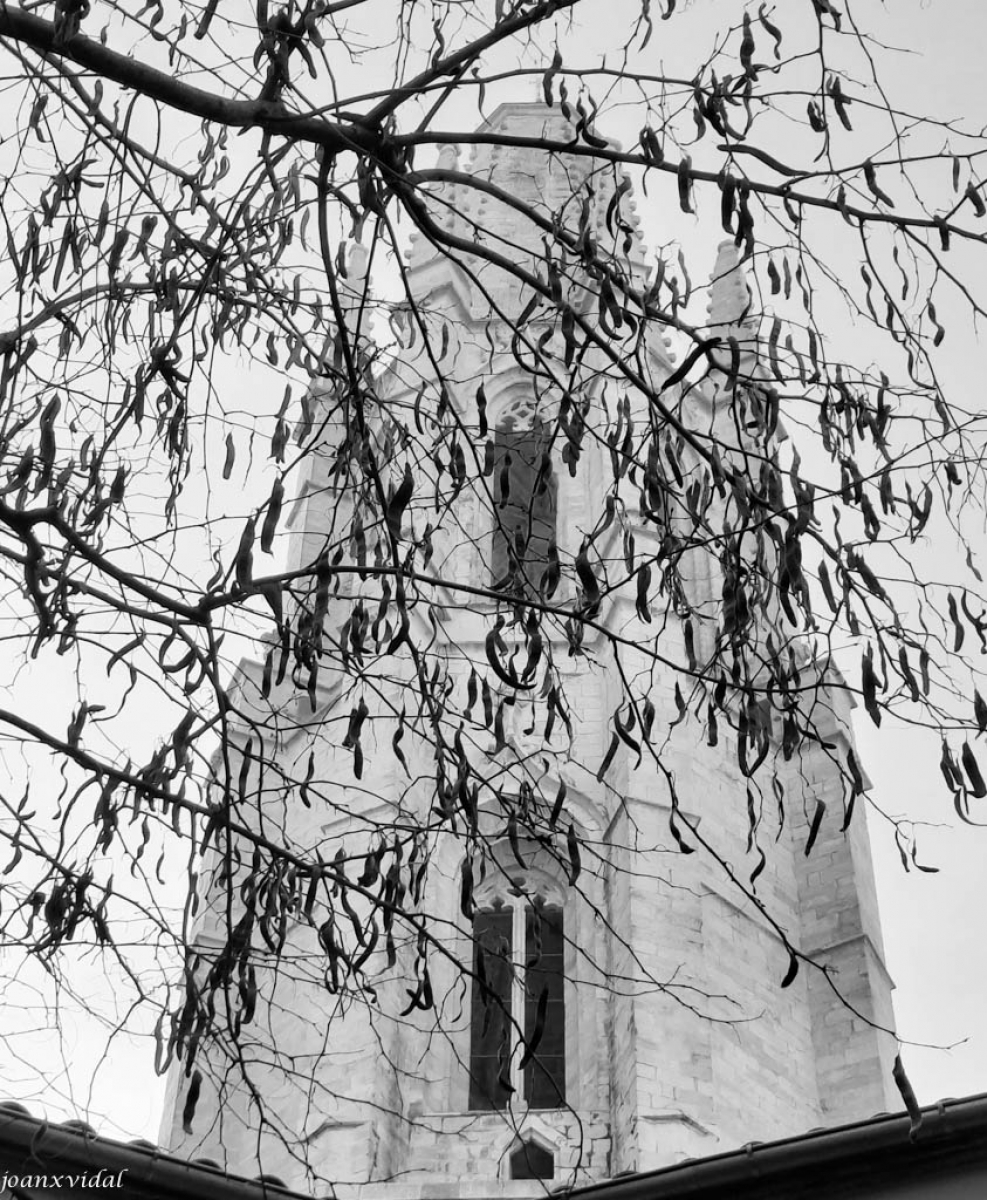 CAMPANAR DE SANT FELIU