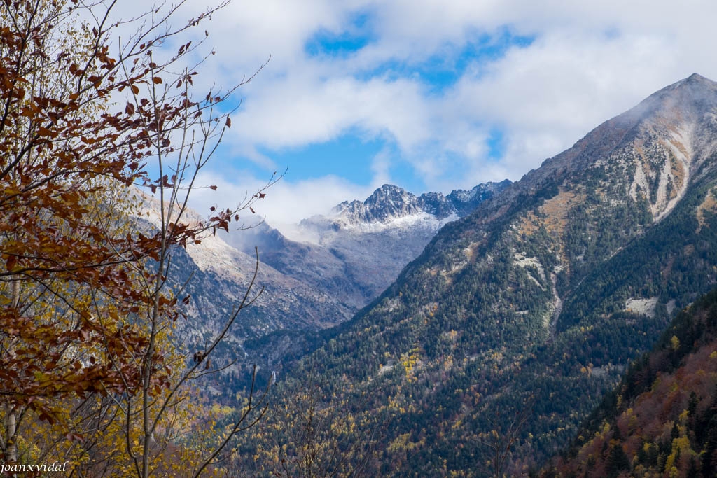 TARDOR A LA VALL DE SALENQUES