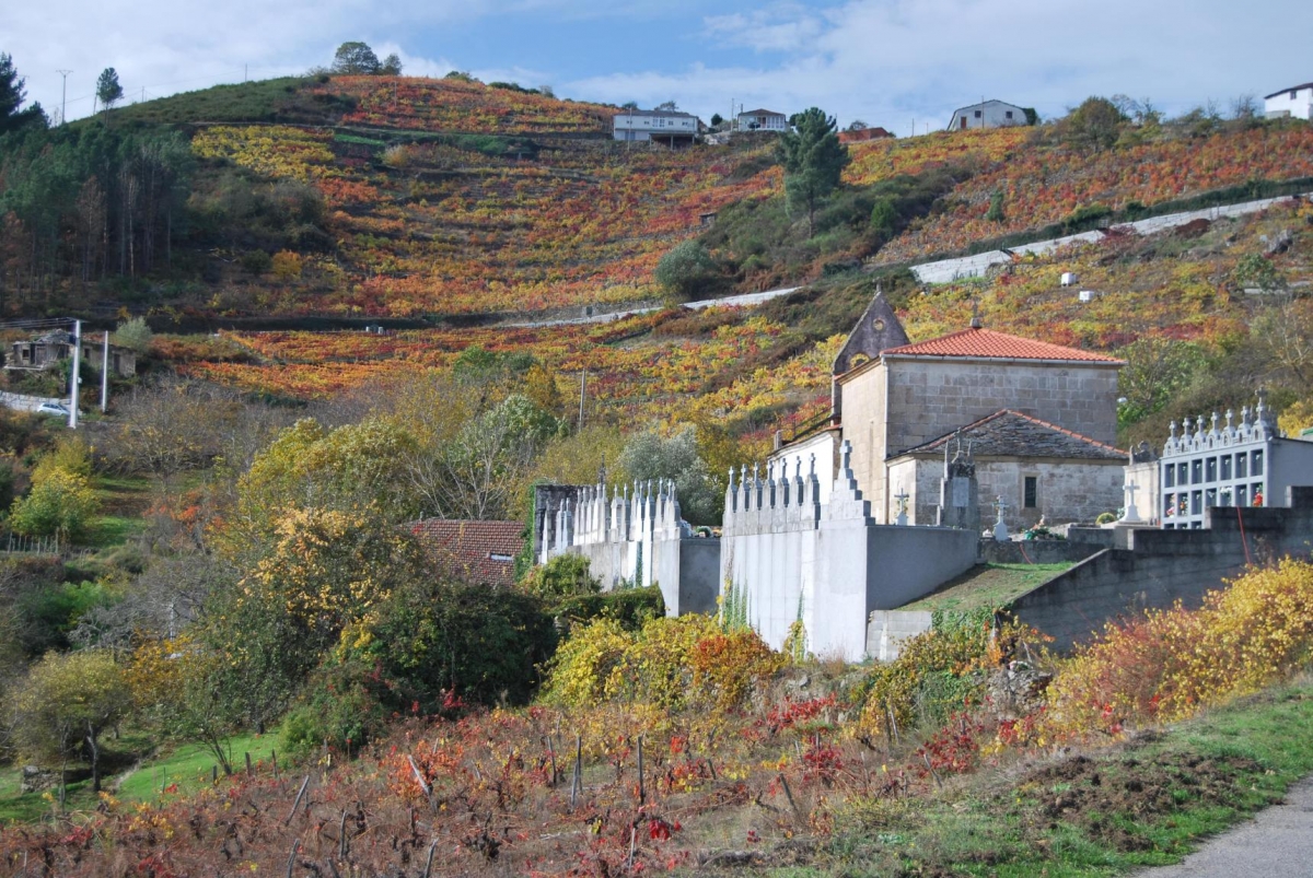 Lumeares. A Teixeira. Ourense. Ribeira Sacra Galcia
