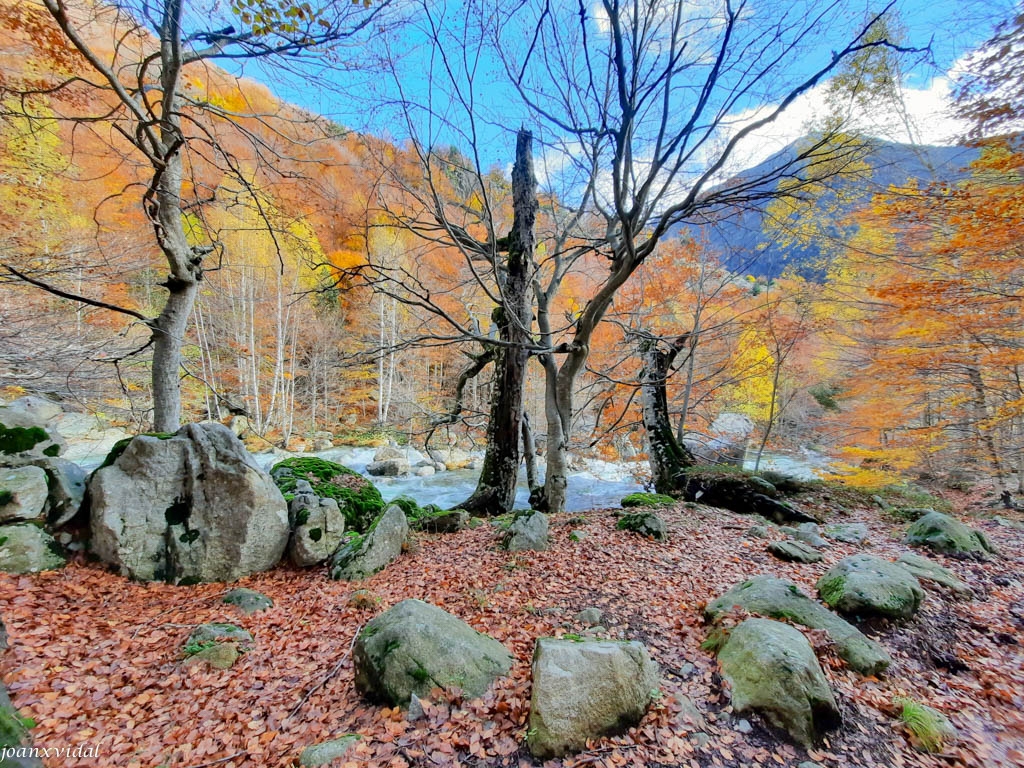 TARDOR A LA VALL DE SALENQUES