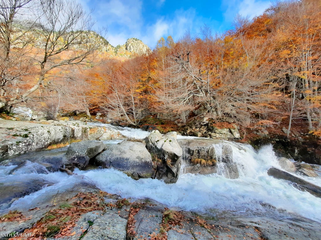 TARDOR A LA VALL DE SALENQUES