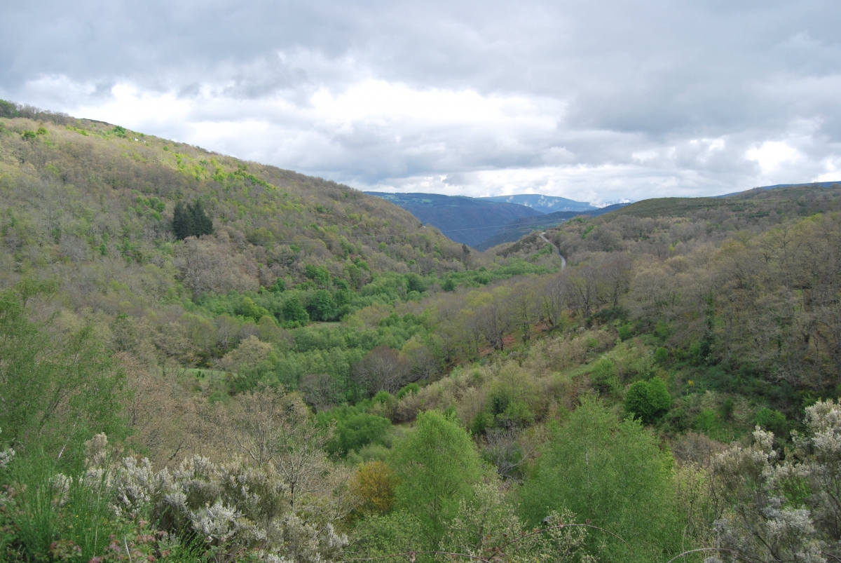 Val do ro dos Vaos. A Teixeira. Ourense. Ribeira Sacra Galcia