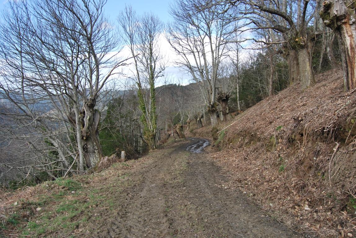 As Carballeiras (despoboamento). Castro Caldelas. Ourense. Ribeira Sacra. Galcia.