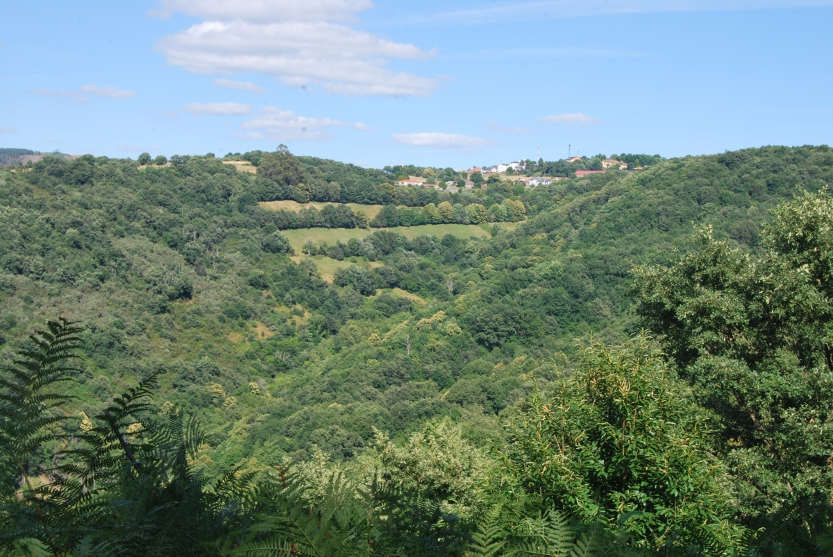 Fraga de Pigeiros. Castro Caldelas. Ourense. Ribeira Sacra. Galcia.