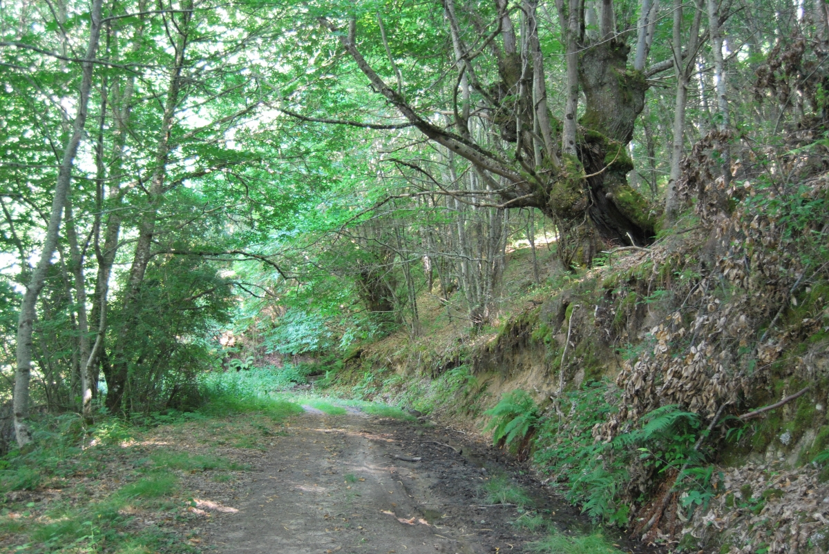 Fraga de Pigeiros. Castro Caldelas. Ourense. Ribeira Sacra. Galcia.