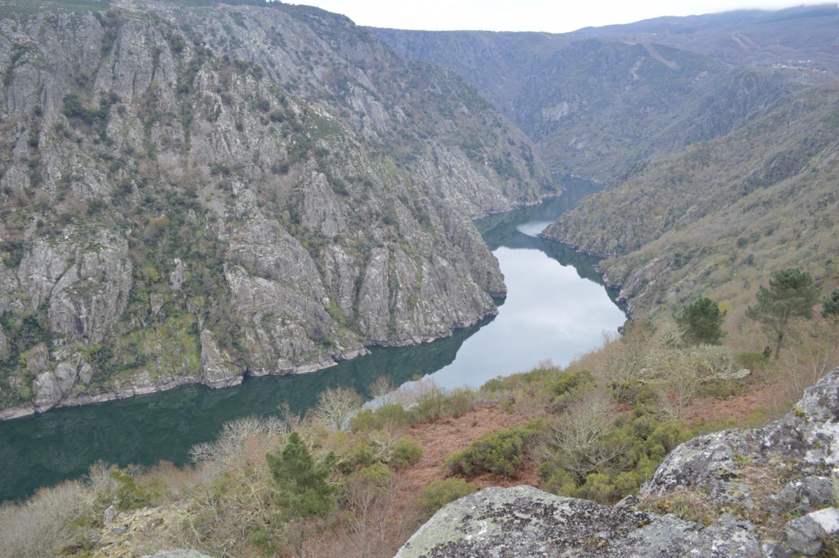 P de home. Nogueira de Ramun. Ourense. Ribeira Sacra. Galicia