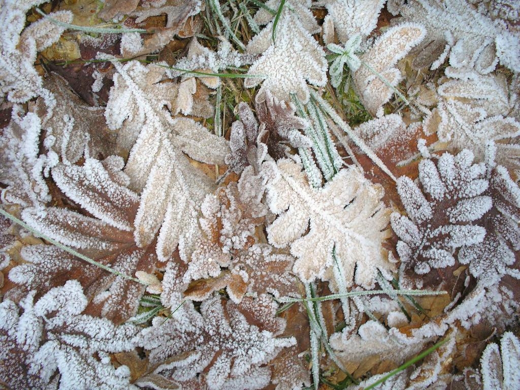 Frio. Castro Caldelas. Ourense. Ribeira Sacra. Galicia