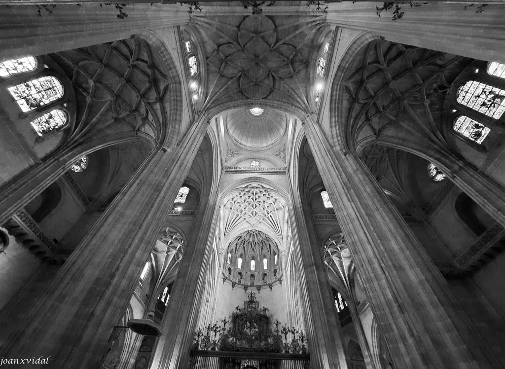 NAVE CENTRAL DE LA CATEDRAL