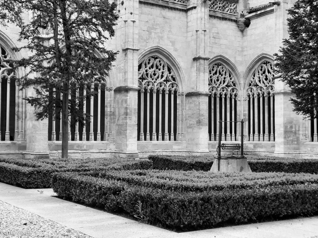 PATIO DEL CLAUSTRO DE LA CATEDRAL