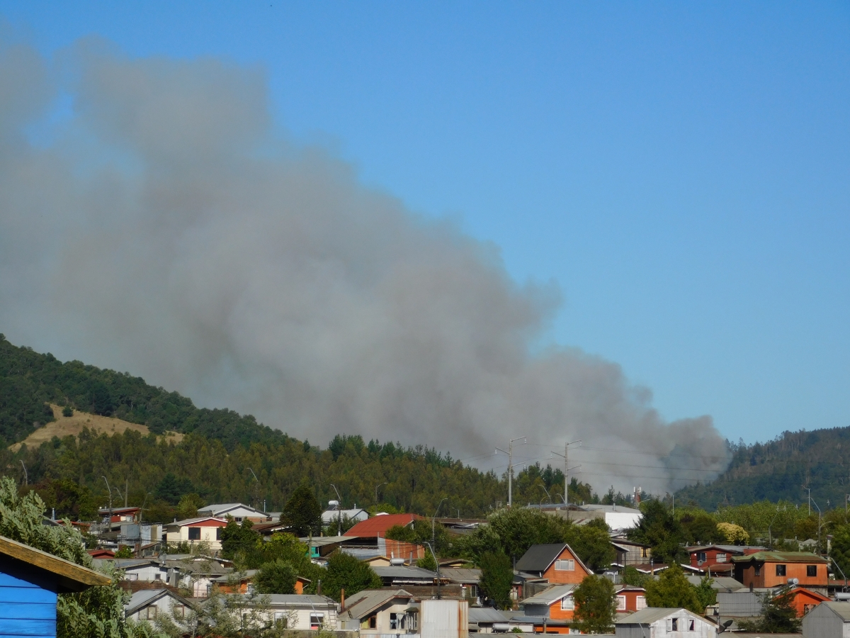 Caminando me encontr con un incendio forestal