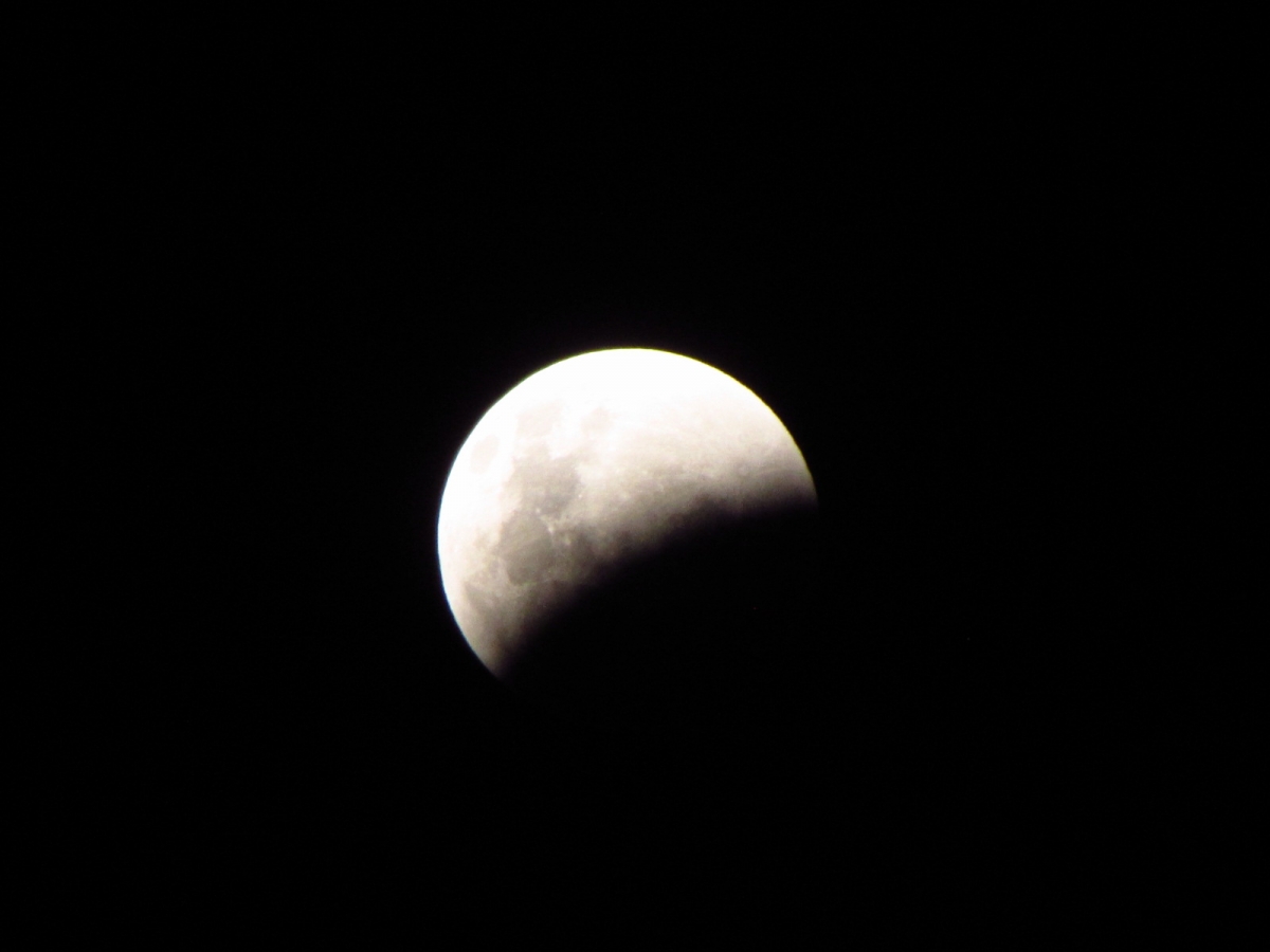 Lunar Eclipse in progress 🌜