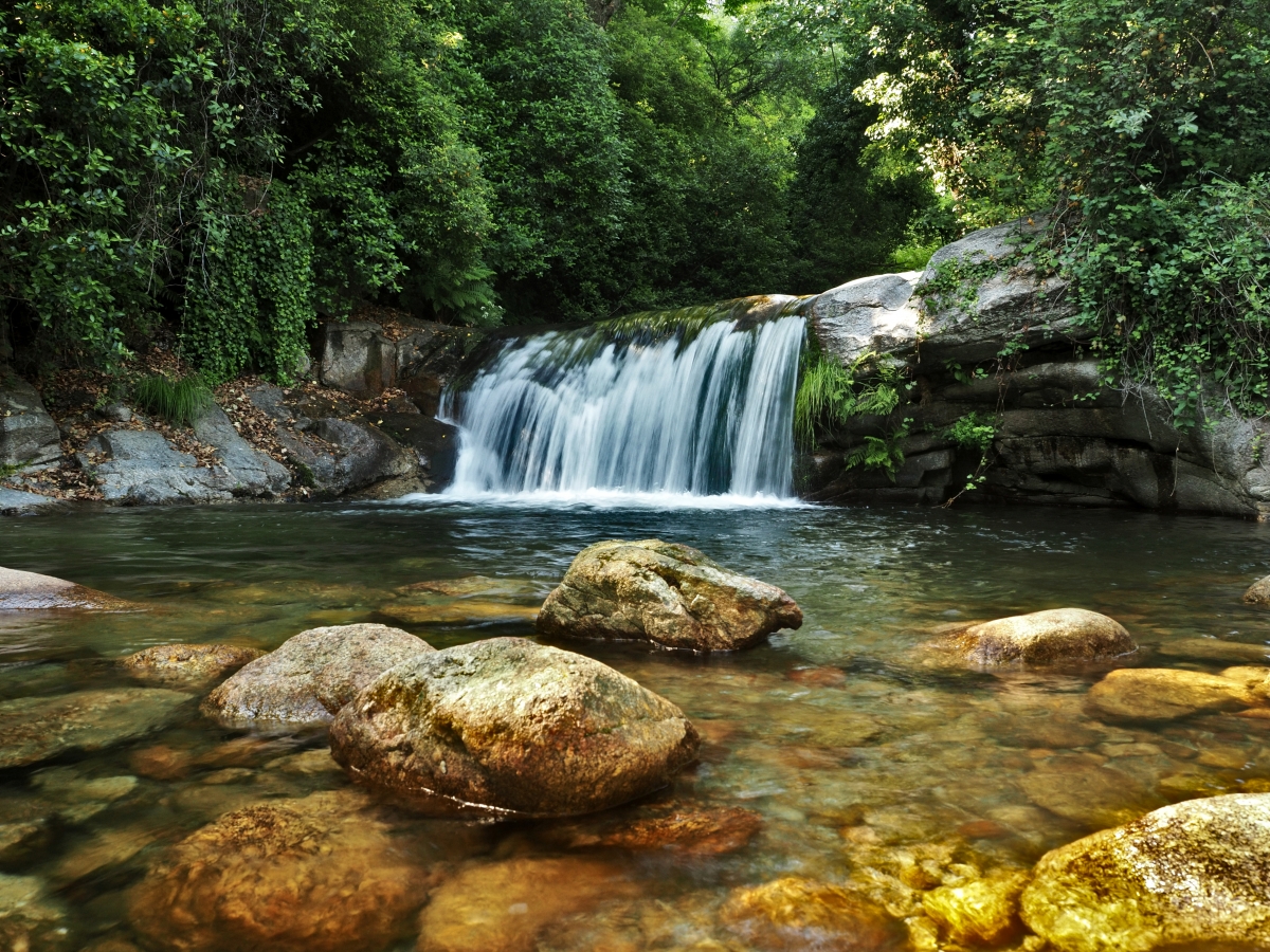 Bosques de Galeria III