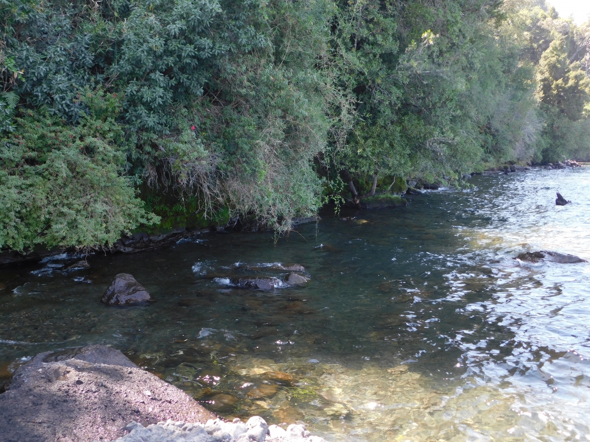 Lago colico 1