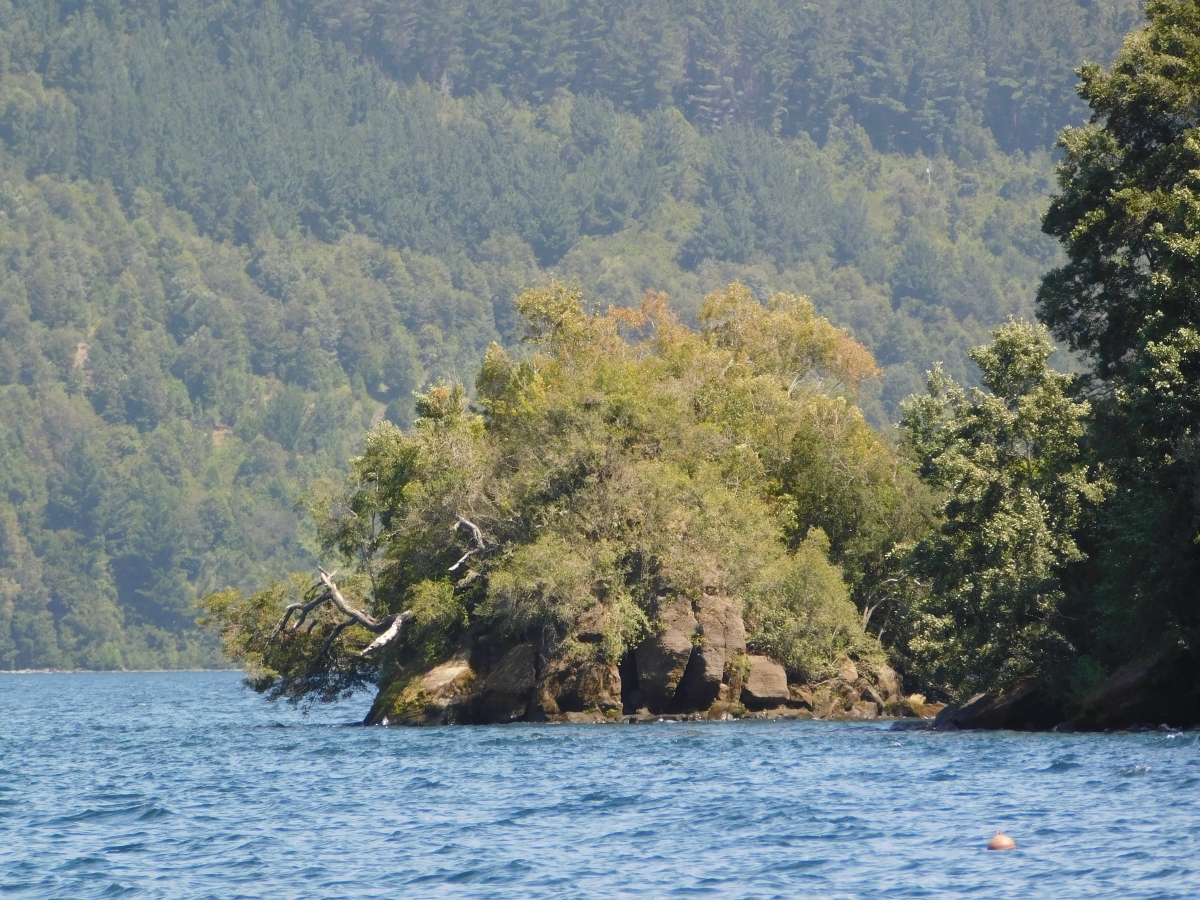 Lago colico 2