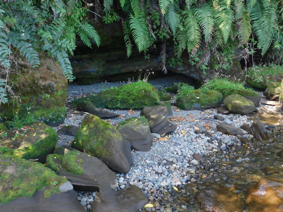 Lago colico 3