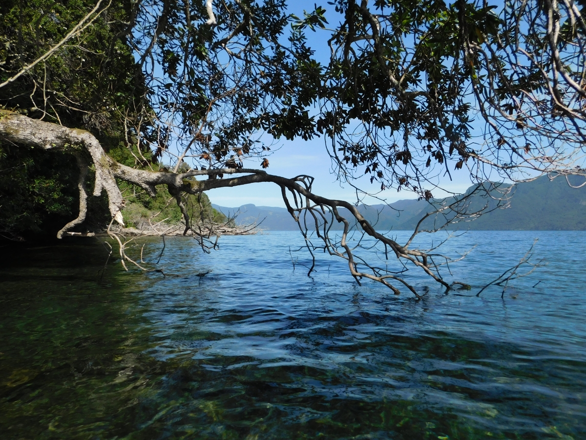 Lago colico 3