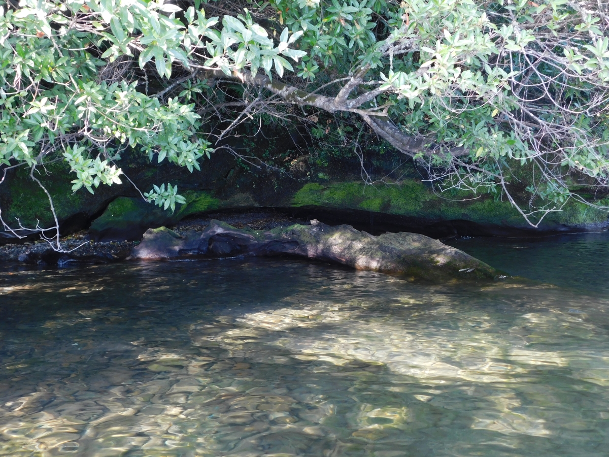 Lago colico 3