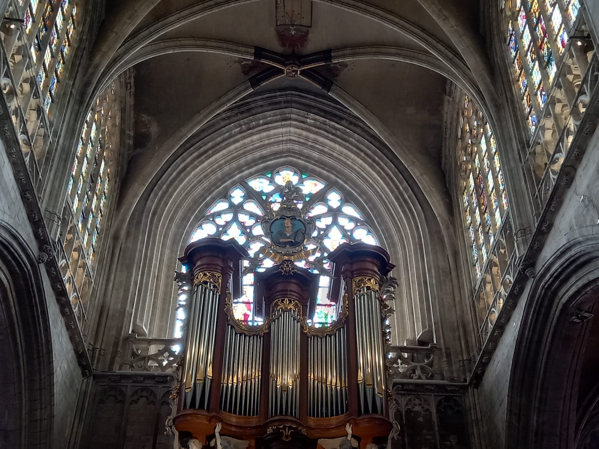 ORGUE CATEDRAL DE BRUSEL.LES