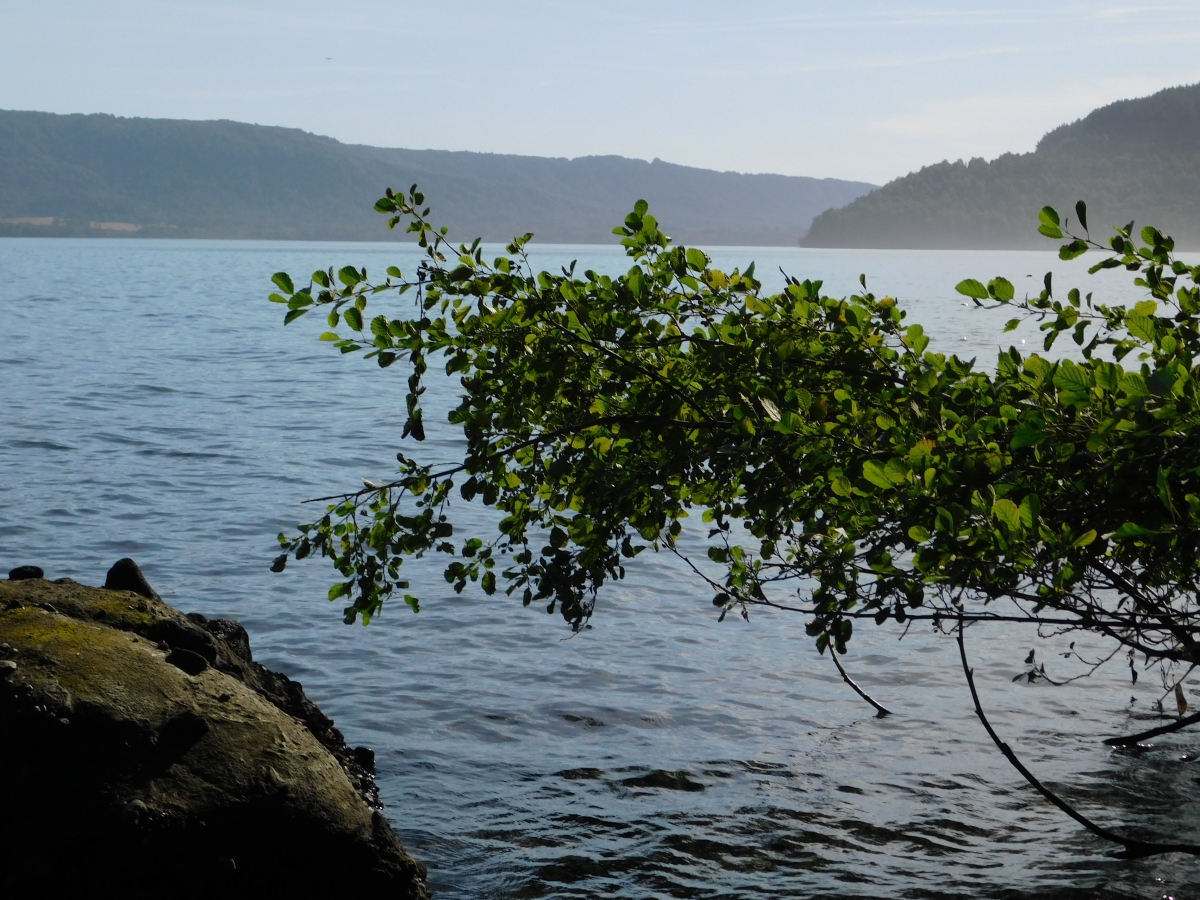 Lago colico 