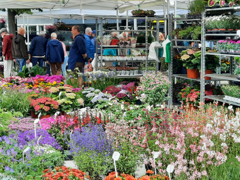 MERCAT DE FLORS