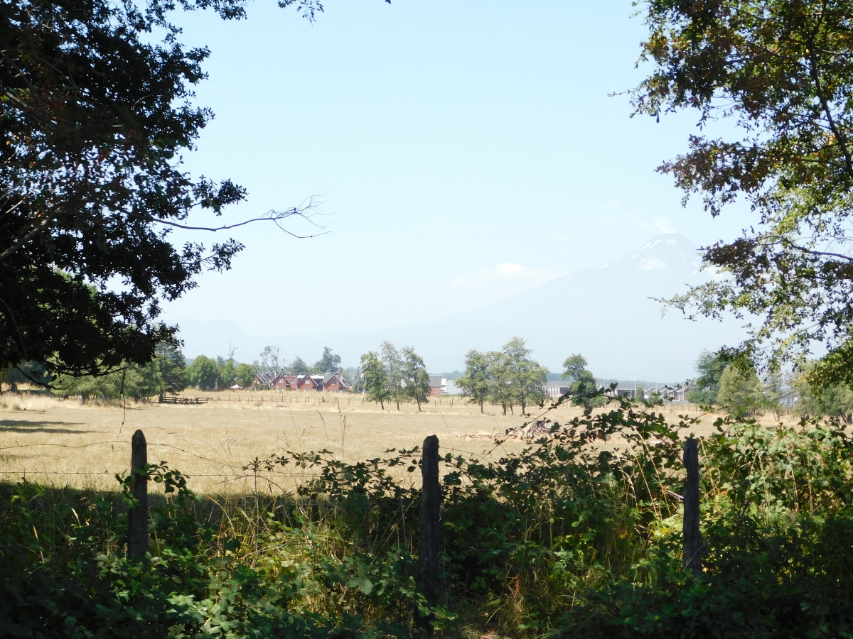 Vista del campo 