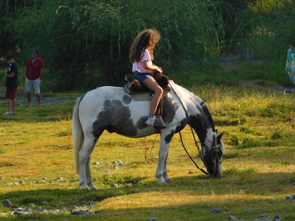 Vistas y actividades en Licanray 