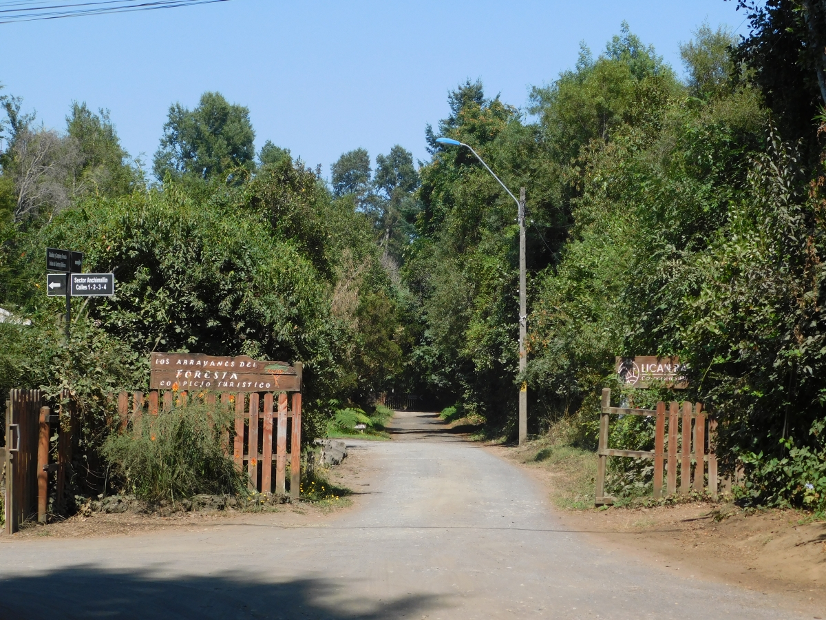 Al fondo del camino est el campamento 