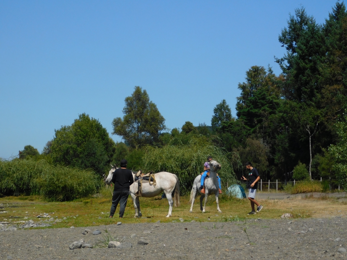 Actividades a orillas del lago 