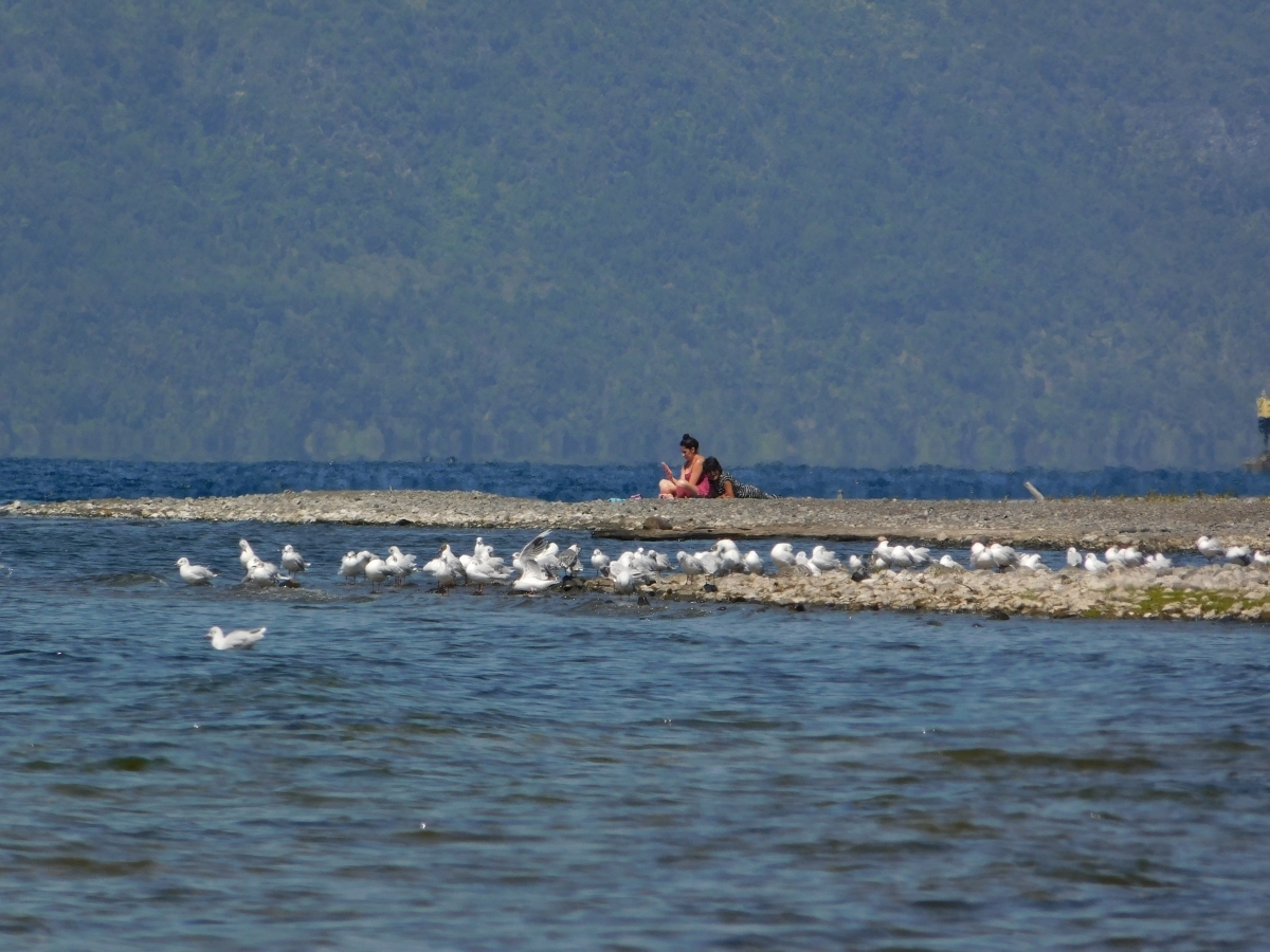 Actividades a orillas del lago 1