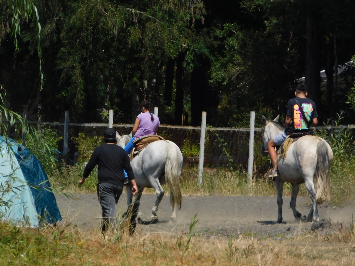 Actividades a orillas del lago 2