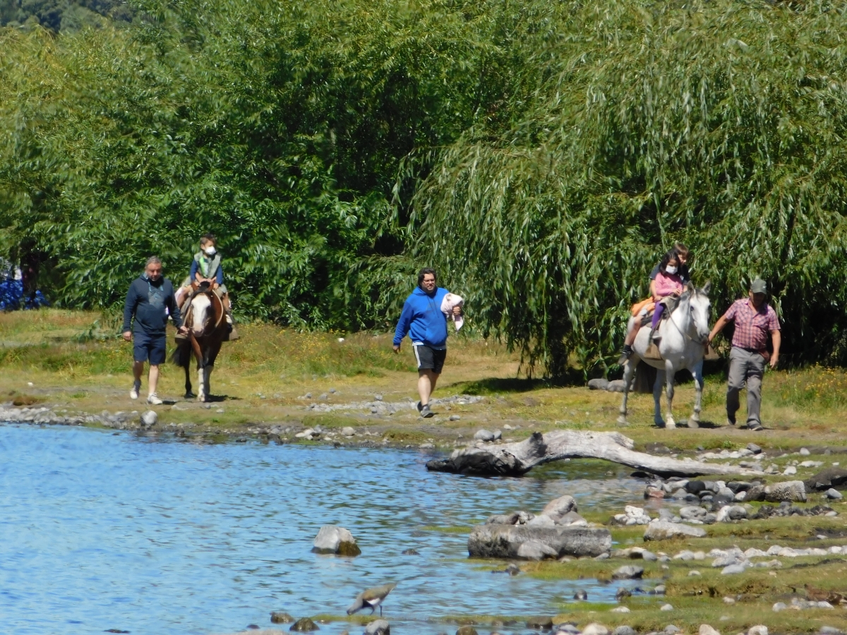 Lago licanray 2