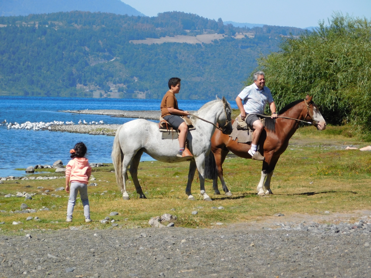 Lago licanray 