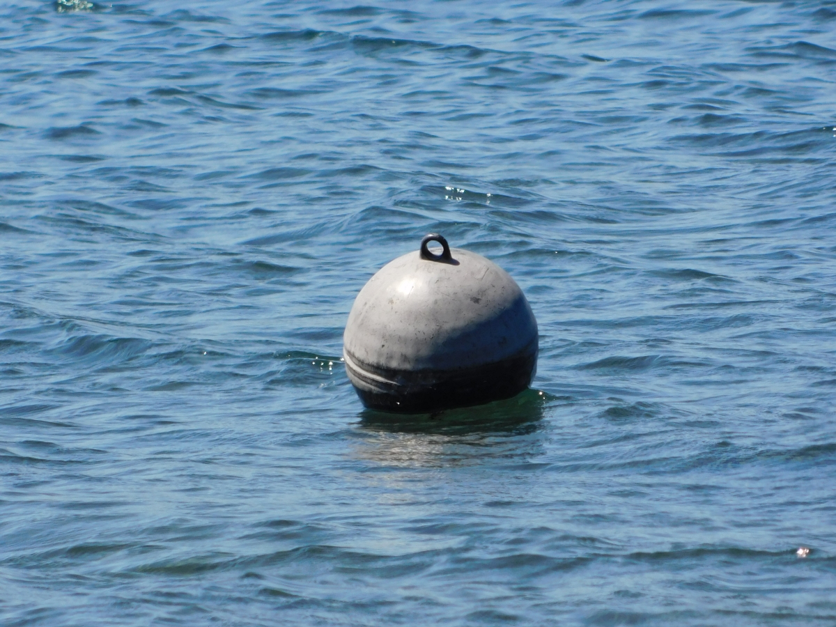 Lago licanray 2