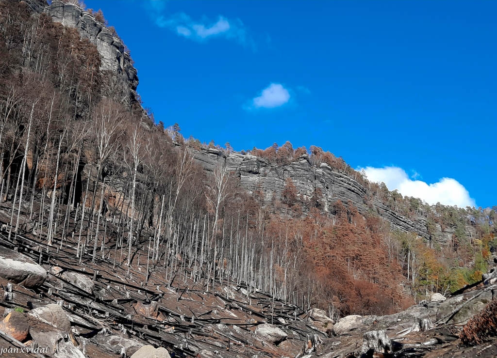 INCENDI A HRENSKO